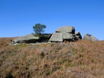 Low Cable Stone (Tripsdale)