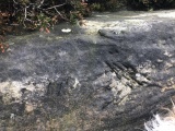 Stoupe Brow Rock Art - PID:218795