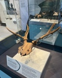 Yorkshire Museum - PID:283017