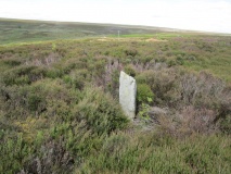 Skelderskew Moor North East