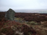 Danby Rigg - PID:81470