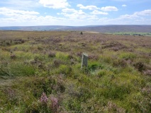 Skelderskew Moor East BS1 - 4