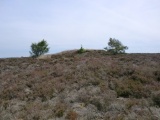 Click for full size image of Pen Howe (Sleights Moor) (PID:244688) Pen Howe (Sleights Moor)
