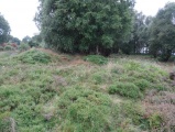 Eston Moor Pond Barrow
