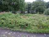 Eston Moor Pond Barrow