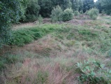 Eston Moor Pond Barrow