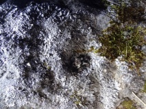 Feldom Ranges 15d