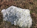 Fylingdales Moor, Brow Moor, East Butts, (Area E) - PID:218764