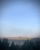 Dargate Dykes