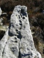 Carle Tower - PID:194460