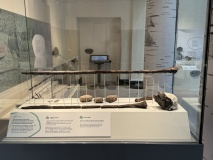Yorkshire Museum - PID:283026