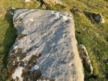 Eller Edge (426)