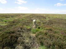 Skelderskew Moor North West
