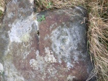 Brow Moor - Rock 80