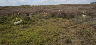 Harland Moor Stone Circle