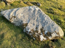 Eller Edge (426)