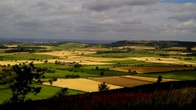 Great Ayton Moor Chambered Cairn