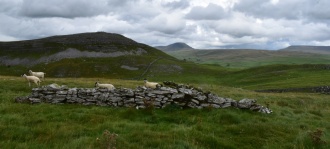 Feizor Celtic Wall