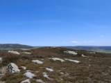 Stone Ruck (Bilsdale West Moor)