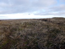 Western Howes (Rosedale Head)