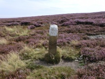 Western Howes BS5 - BS8