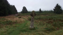 Malo Cross - PID:81552
