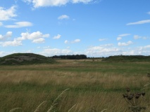 Thornborough Central - PID:260695