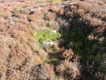 Pind Howe North (Danby Rigg)