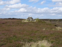 Round Hill West
