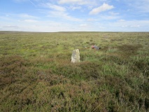 Skelderskew Moor North East