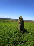 Pricket Thorn Stone