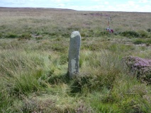 Skelderskew Moor East BS1 - 4