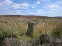 Skelderskew Moor East BS5 - 8