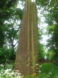 Devil's Arrows