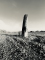 Devil's Arrows - PID:267844