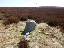 Brow Moor SS1