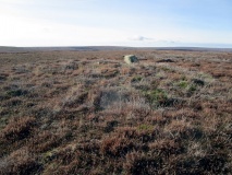 Pind Howe South (Danby Rigg)