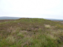 Three Howes (Cold Moor)