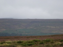 Three Howes (Cold Moor)