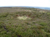 Three Howes (Cold Moor)