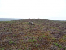 Three Howes (Cold Moor)