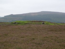 Three Howes (Cold Moor)