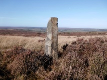 Halifax LW585 Stone