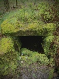 Old Wives' Well