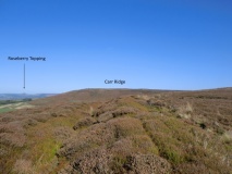 Billy's Dyke