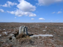 Commondale Moor North SS1