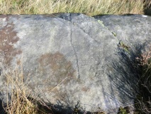 Brow Moor - Rock 80