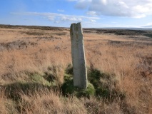 Waupley Moor South MS1