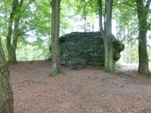 Adder Stone (Dalby Forest)