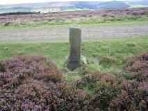 Glaisdale Rigg Guide Stone